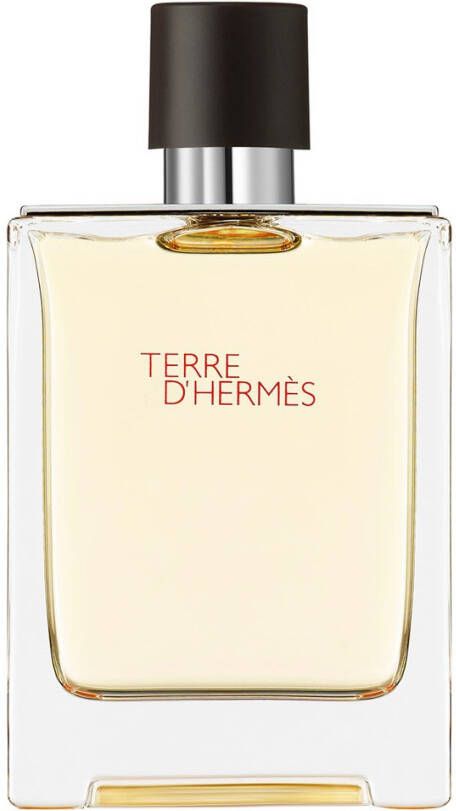 Herm&#xE8;s HERM&#xC8, S Terre d'Herm&#xE8, s Eau de toilette